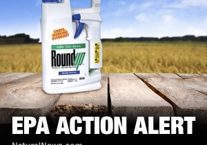 EPA-Action-Alert-RoundUp-Crops