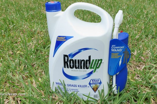 Editorial-Use-RoundUp-Herbicide