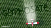 Glyphosate-Crop-Dusting